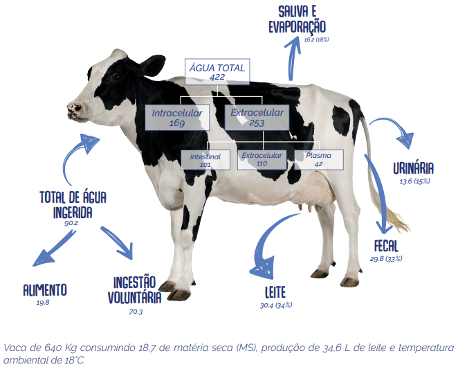 perda e consumo de agua pelas vacas leiteiras 