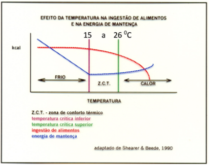 estresse termico bovinos